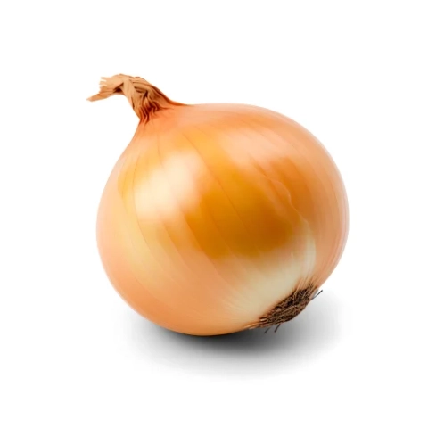 Cebola