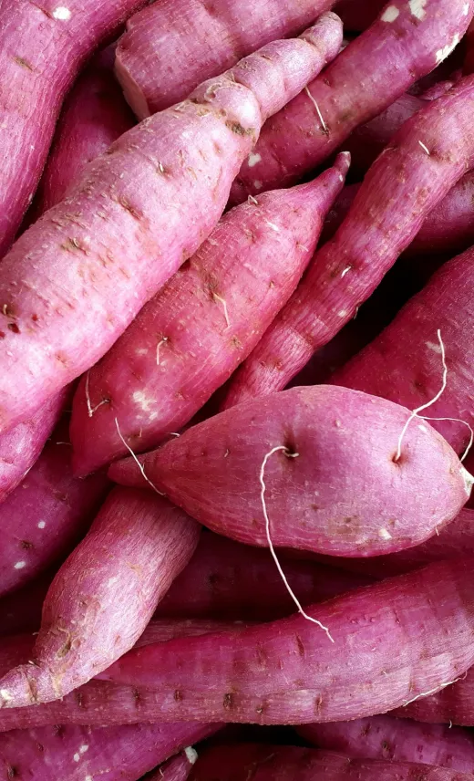 Sweet potatoes as background
